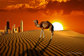 Muntatge desert posta de sol